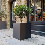 Trough planters lined up neatly along a garden pathway.